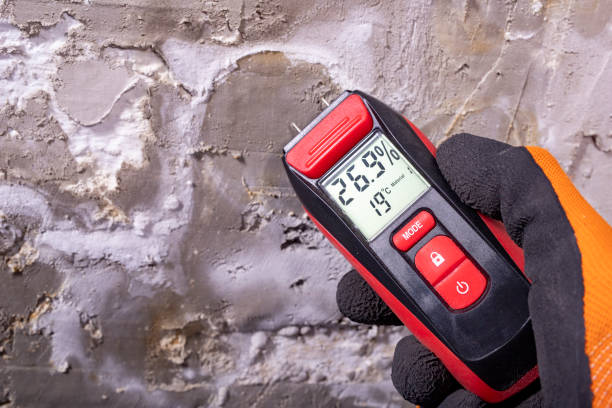 Best Mold Cleaning Services  in Roselle, IL